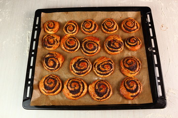 Freshly Baked. Making Poppy Seed Snail. Sweet Roll Bun.