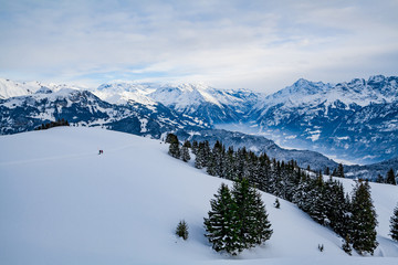 Fototapeta na wymiar Winter in the swiss alps, Switzerland