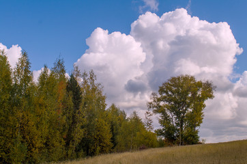 Autumn view of the field, meadows with copses and Cumulus clouds in the blue sky, toned.