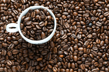 Fresh coffee beans on a white background