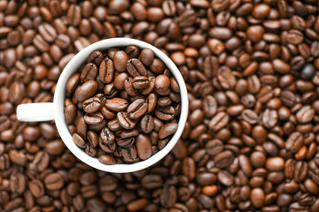 Fresh coffee beans on a white background