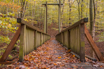 Wooden bridge in the middle of a forest in an autumn aura.