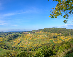 Vineyards near Chateau Chalon, Departement Jura, Franche-Comte, France