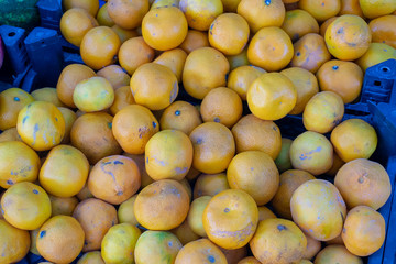 many fresh raw orange