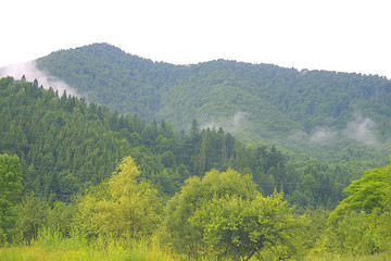 Beautiful mountain landscape in Ukraine