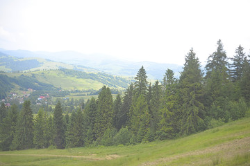 Fototapeta na wymiar Summer landscape in the mountain village