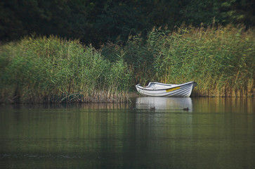 white wooden standing boat moored in the reeds on the lake on a summer day