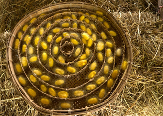 silkworm have emerged from these cocoons. These are great for classroom demonstrations, arts & crafts – many people also use these cocoons for their natural beauty-healing properties.