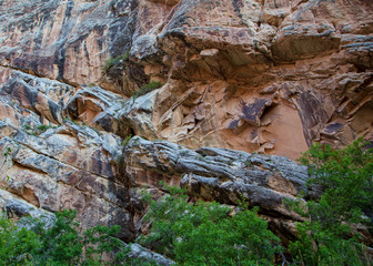 Hog Canyon trail in Dinosaur National Monument affords an up-close-and-personal view of the craggy Weber Sandstone that make up the canyon's walls