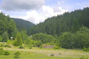 Fototapeta na wymiar Beautiful summer landscape. Carpathian Mountains