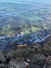 Blue and green foamy beach waves