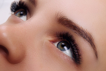 Eyelash Extension Procedure. Woman Eye with Long Blue Eyelashes. Ombre effect. Close up, selective focus.
