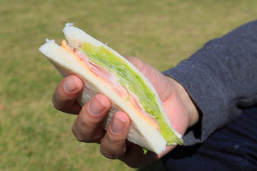 晴天の日　秋の公園で食べたレタスとハムのサンドイッチ