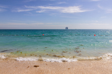 Fototapeta na wymiar Abu Dhabi. Sea sand beach natural landscape, United Arab Emirates. Sir Bani Yas island