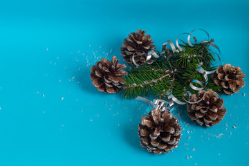 pine cone and branches of christmas tree on white background