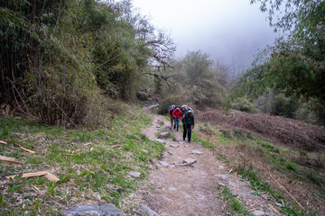 Trekker on the way to Annapurna base camp. Nepal