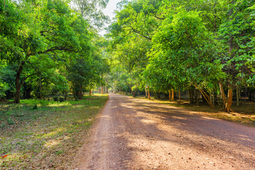Fototapeta na wymiar Wonderful morning view of road through rainforest