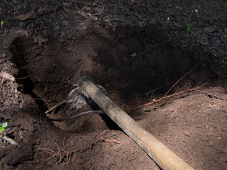 Fototapeta premium Digging the hole for tree