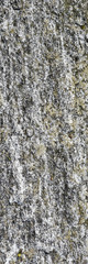 Nature stone background