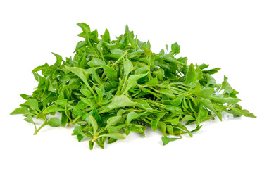 Fresh watercress isolated on white background