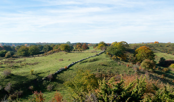 landscape in southen sweden