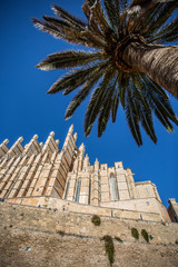Obraz premium Cathedrale Palma