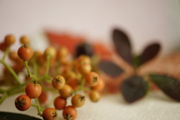 christmas decoration