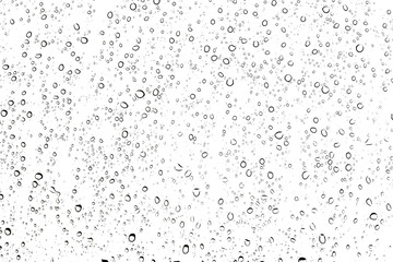 Fototapeta na wymiar Water rain drops or water drops on white background
