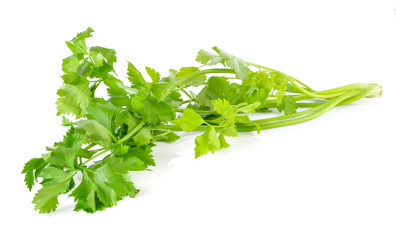 Fresh celery isolated on white background.