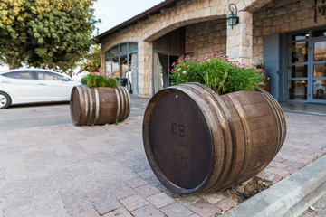 Wine barrels with flowers growing in them near the entrance to the Psagot winery in Samaria region in Benjamin district, Israel - obrazy, fototapety, plakaty