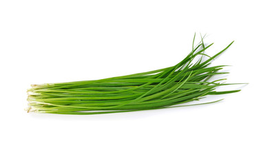 Chinese chives, Garlic chives isolated on white background.