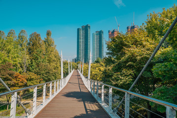 Fototapeta na wymiar Sky scrappers above the end of the board walk bridge in park at autumn in Seoul, Korea