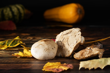 Three forest mushrooms with leaves on the table.