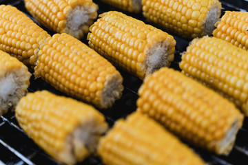 Sweetcorn on the cob on the BBQ 