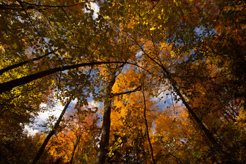 Obraz premium Arched