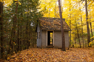 Fototapeta na wymiar Cabin in the Woods