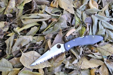 Folding knife stainless steel blade black handle garden autumn nature