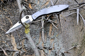 Folding knife stainless steel blade black handle garden autumn nature