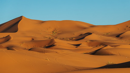 Obraz na płótnie Canvas Sahara Desert during sunset, Merzouga, Morocco