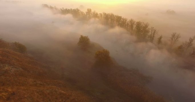 Aerial view of river under morning fog and golden hills, Ukraine