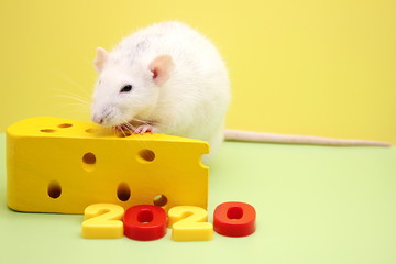 2020 New year number and the decorative rat with a toy cheese. The rat is a symbol Of the new year 2020.