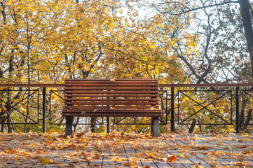 Kyiv, Ukraine - fall 2019. Bench in garden Volodymirska Girka