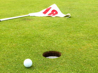 A golf course consists of either 9 or 18 holes, each with a teeing ground that is set off by two markers showing the bounds of the tee area, and the putting green surrounded by the fringe with the pin