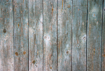 Faded blue-gray painted old vertical wooden planks. Wooden abstract background.