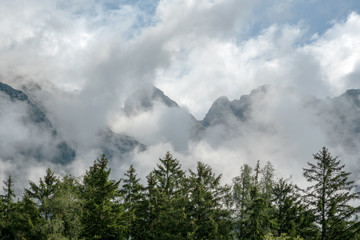Obraz na płótnie Canvas gray mountain in pine forest with heavy mist white clouds