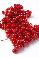 cranberries isolated on white background