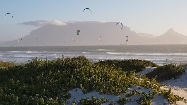 Unique view of Table Mountain and Cape Town. Kite surfers kitesurfing on choppy seas in very windy conditions. Sand dune with vegetation in foreground. Clear blue sky on sunny day.