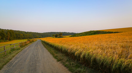 Obraz premium road in the field