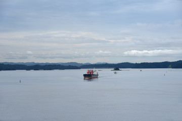 Landscape of the Gatun Lake on a cloudy day (Panama Canal). Cargo ships sailing toward Gatun Locks. 