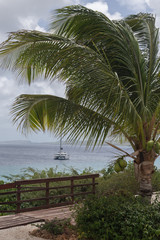 Obraz premium sea beach coast tropical Bonaire island Caribbean sea